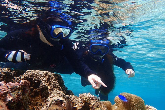 okinawa-miyako-pumpkin-limestone-caving-and-sea-turtle-snorkeling