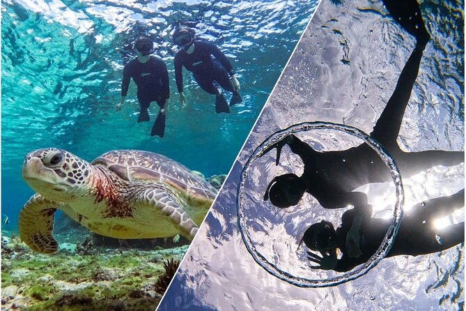 okinawa-miyako-sea-turtle-snorkeling-free-pick-up-and-drop-off