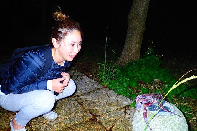 okinawa-miyako-star-gazing-and-subtropical-jungle-night-tour