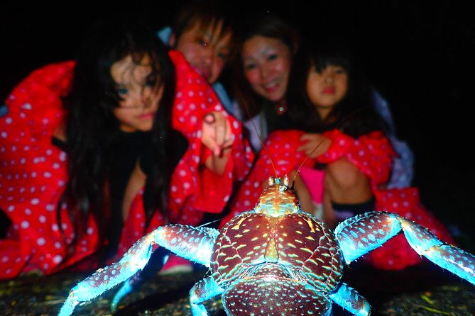 okinawa-miyako-star-gazing-and-subtropical-jungle-night-tour