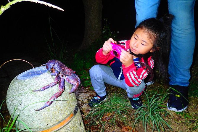 okinawa-miyako-star-gazing-and-subtropical-jungle-night-tour