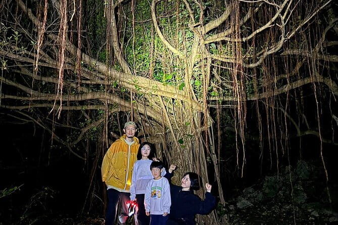 Okinawa Miyako Starry Sky Jungle Exploration Tour - FAQ