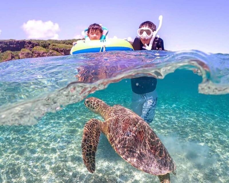 Okinawa Miyakojima: Snorkel Tour with Sea Turtle & Nemo - The Overall Value & Who This Tour Is Best For