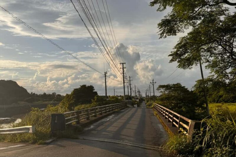 Okinawa: Ogimi Village Guided Tour (Takazato Village) - Practical Details & Value