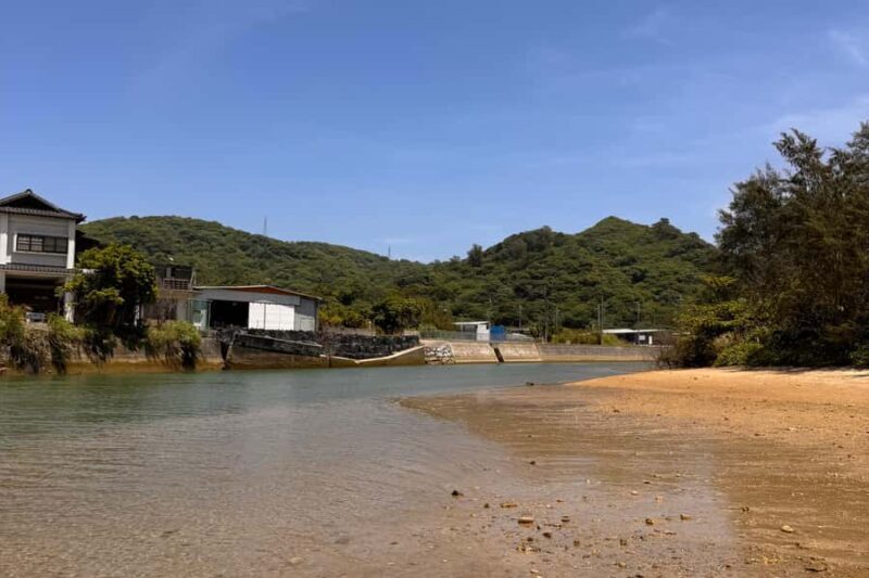 Okinawa: Ogimi Village Guided Tour (Takazato Village) - The Sum Up