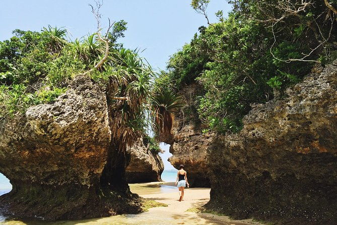 okinawa-private-customizable-6-hour-tour-by-private-vehicle