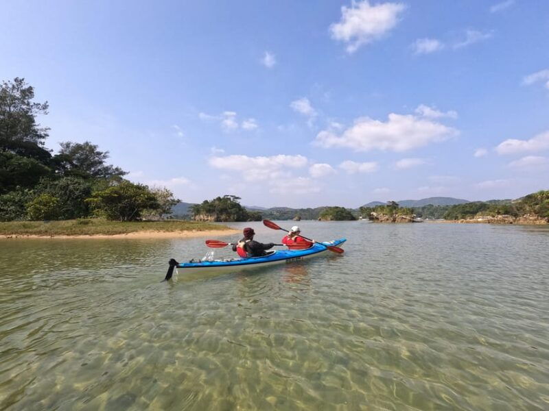 okinawa-private-kayak-mangrove-or-reef-with-native-english