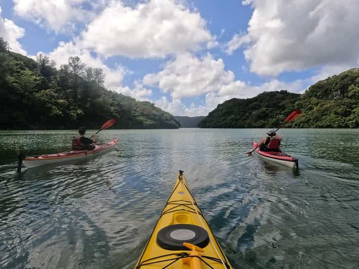 okinawa-private-kayak-mangrove-or-reef-with-native-english