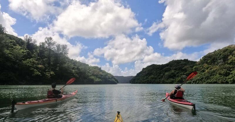 okinawa-private-kayak-mangrove-or-reef-with-native-english