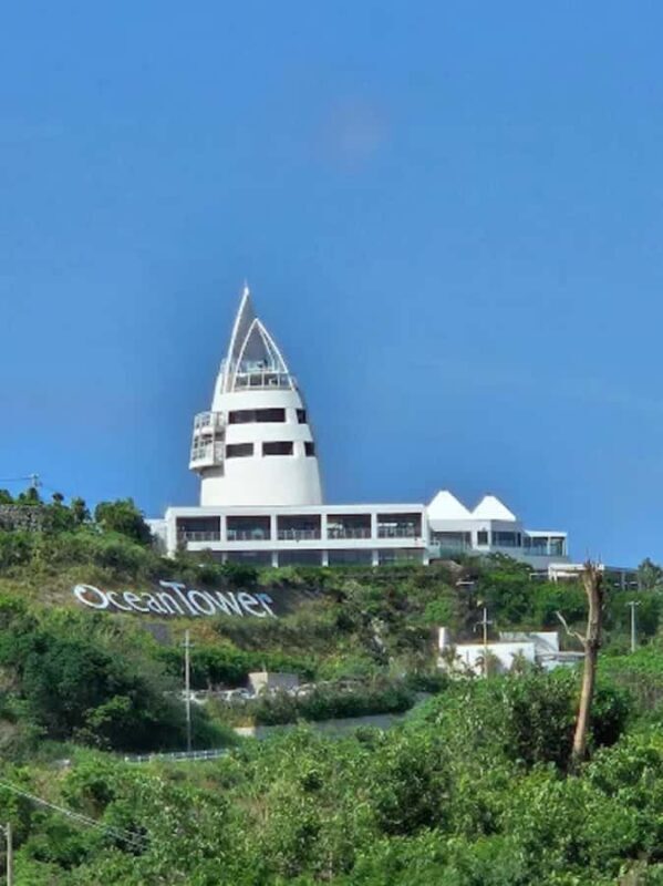 Okinawa: Private Kouri Island, Aquarium & Castle Guided Tour - Key Points