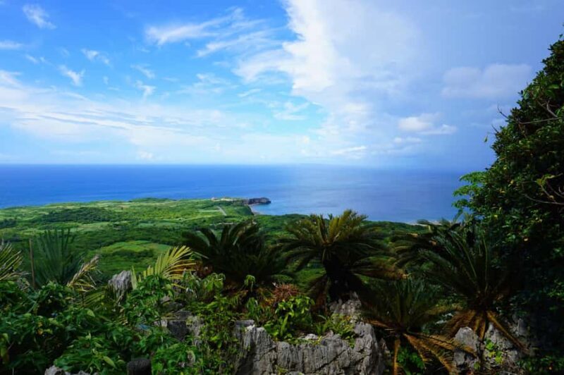 Okinawa: Private Photo & Sightseeing Adventure with a Local - Who Is This Tour Best For?