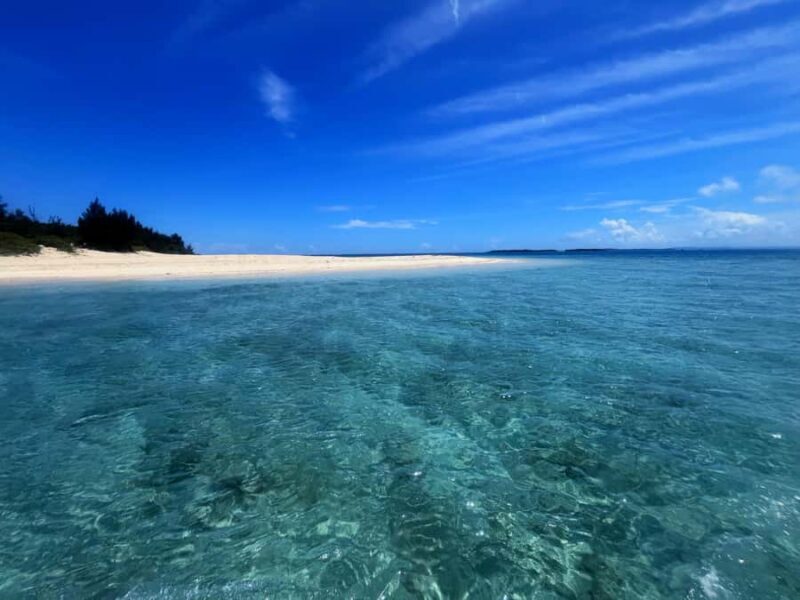 Okinawa: Private Snorkeling Tour - Who Is This Tour Perfect For?