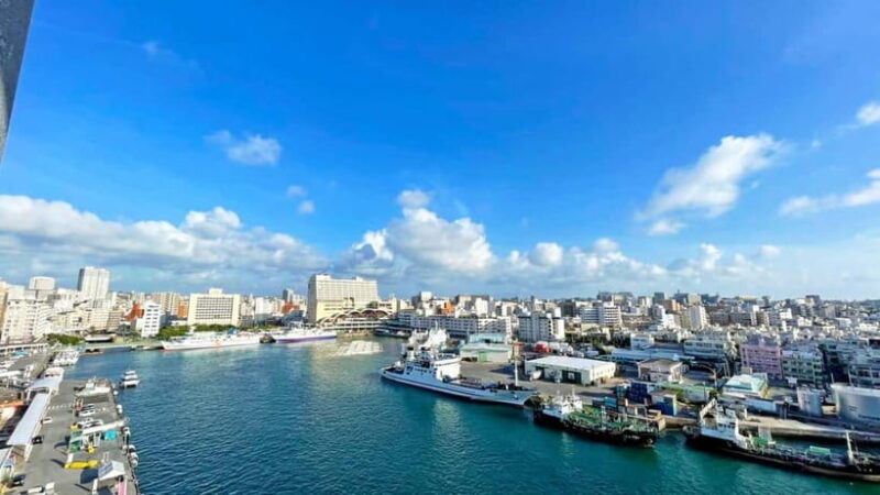 Okinawa Private Tour: Shrines, Markets & Vibrant Streets - Who Should Consider This Tour?