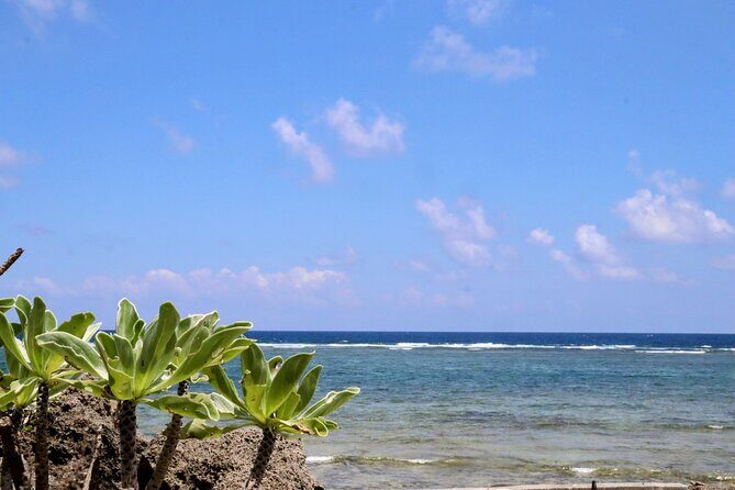 Okinawa: Sacred Island Tour to Kudakas Ryukyuan Holy Sites - Key Points