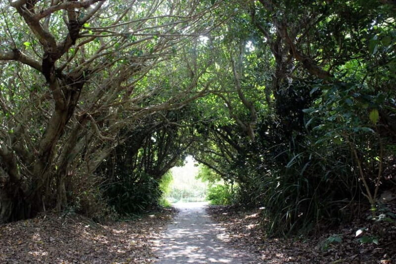 Okinawa: Sacred Island Tour to Kudakas Ryukyuan Holy Sites - Starting Point and Transportation  