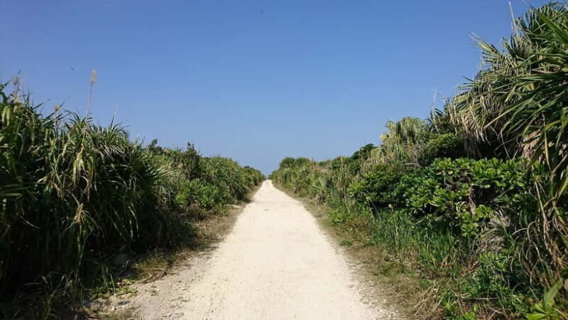 Okinawa: Sacred Island Tour to Kudakas Ryukyuan Holy Sites - The Sacred Heart at Ishiki Beach  