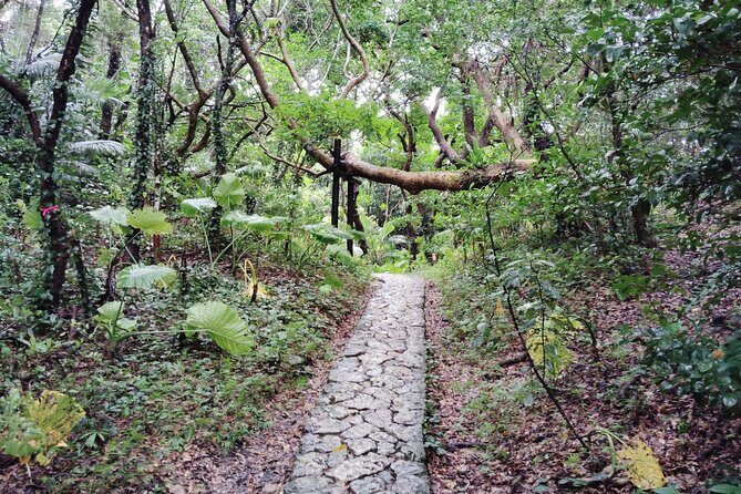 Okinawa: Sacred Sefa Utaki Walk into Ryukyus Spiritual - FAQ about the Okinawa Sacred Sefa Utaki Walk