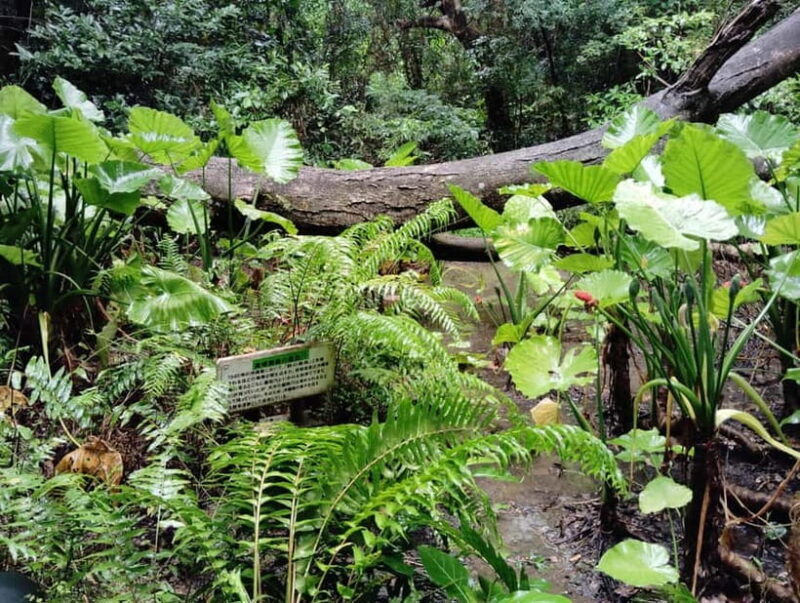 Okinawa: Sacred Sefa Utaki Walk into Ryukyus Spiritual - The Sum Up