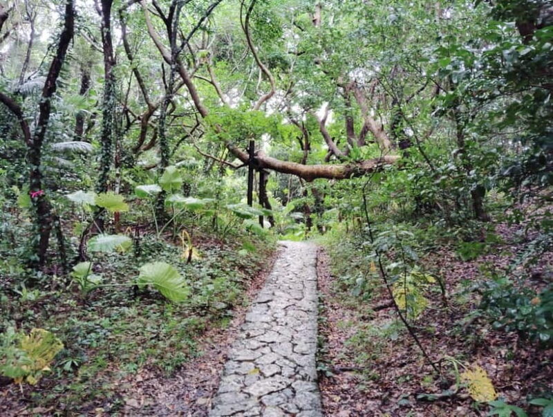 Okinawa: Sacred Sefa Utaki Walk into Ryukyus Spiritual - FAQ
