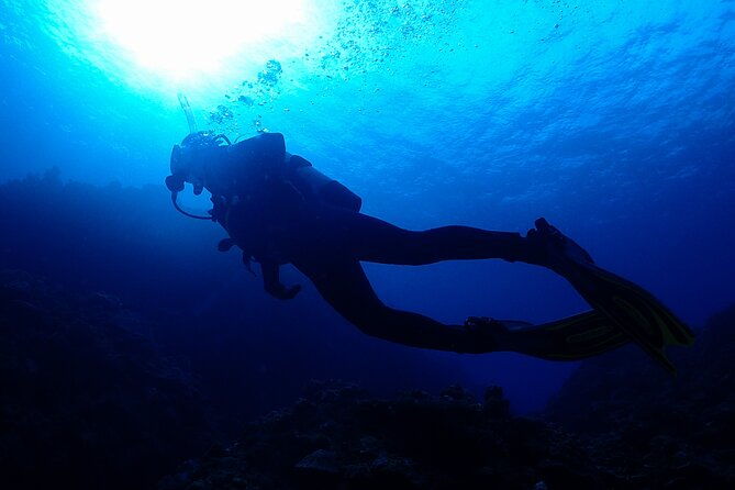 okinawa-scuba-diving-for-certified-divers-3-boat-dives-lunch