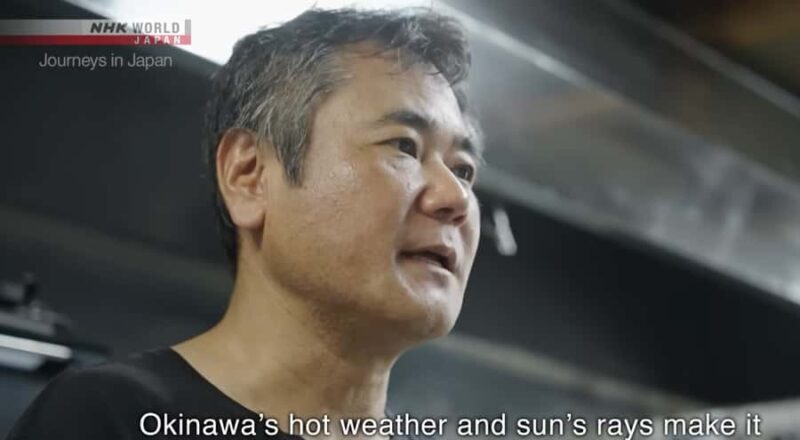 Okinawa: Sesoko Island Edible Flower Harvest & Meal - Transportation, Timing, and Group Size