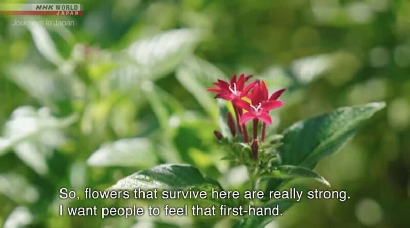 Okinawa: Sesoko Island Longevity Hot Pot Experience - Key Points