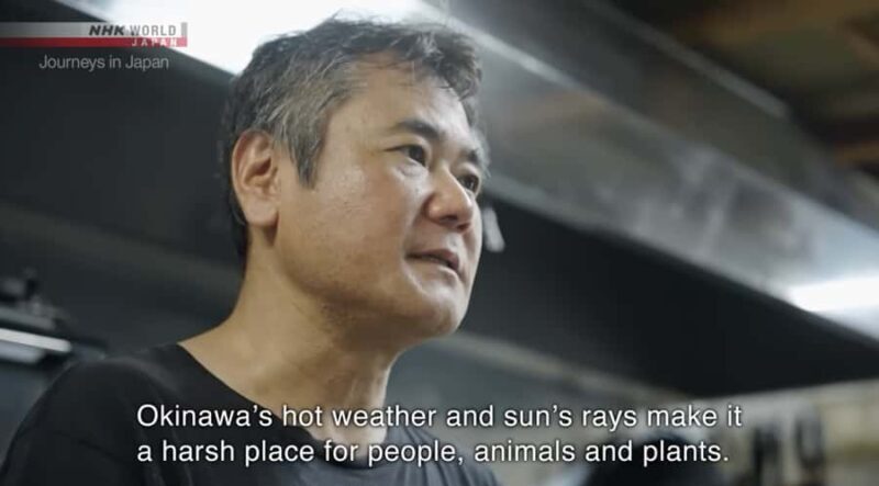 Okinawa: Sesoko Island Longevity Hot Pot Experience - FAQs