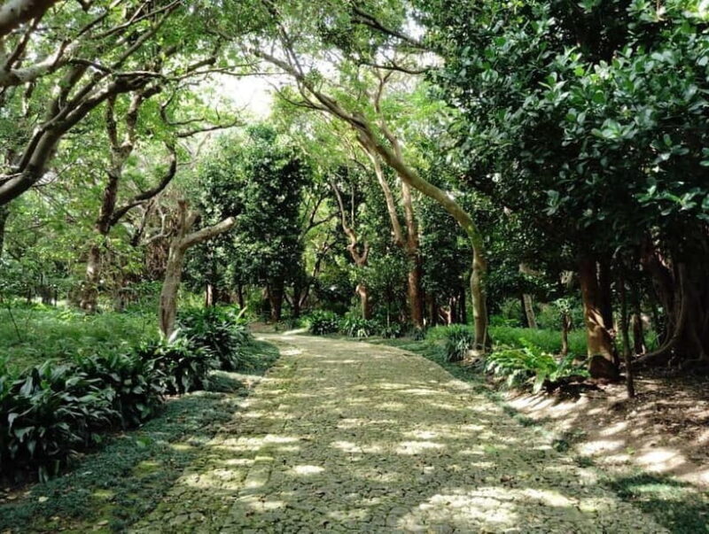 Okinawa: Shikinaen Royal Garden Guided Tour  UNESCO Site - The Experience Itself: What You’ll Encounter
