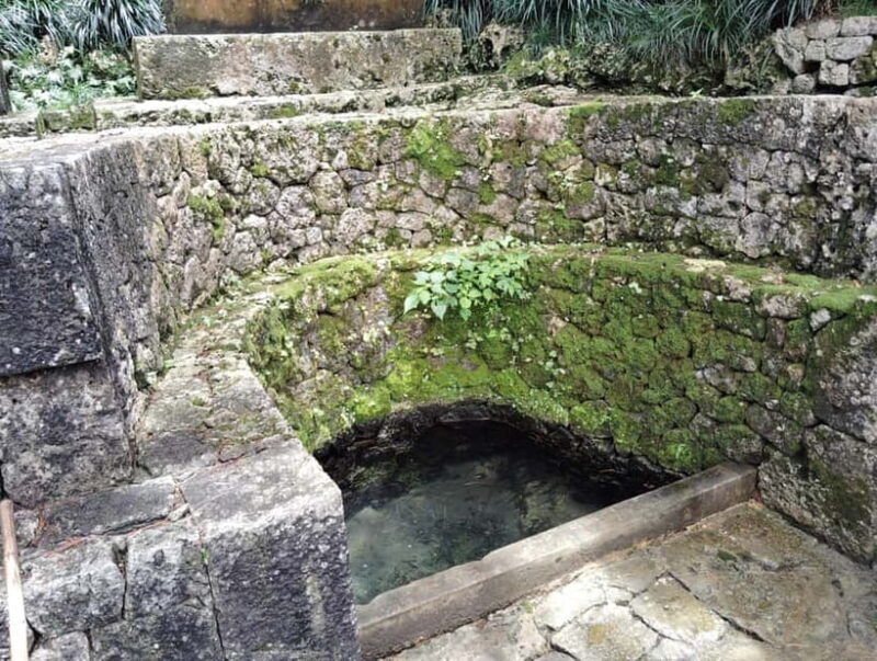 Okinawa: Shikinaen Royal Garden Guided Tour  UNESCO Site - Who Will Enjoy This Experience?