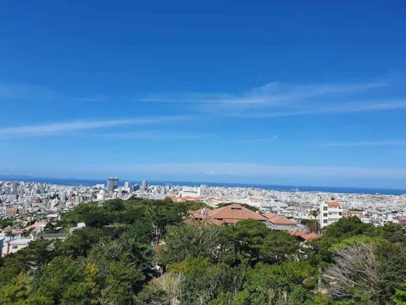 Okinawa: Shurijo Castle & Gyokusendo Cave Guided Tour - An In-Depth Look at the Tour