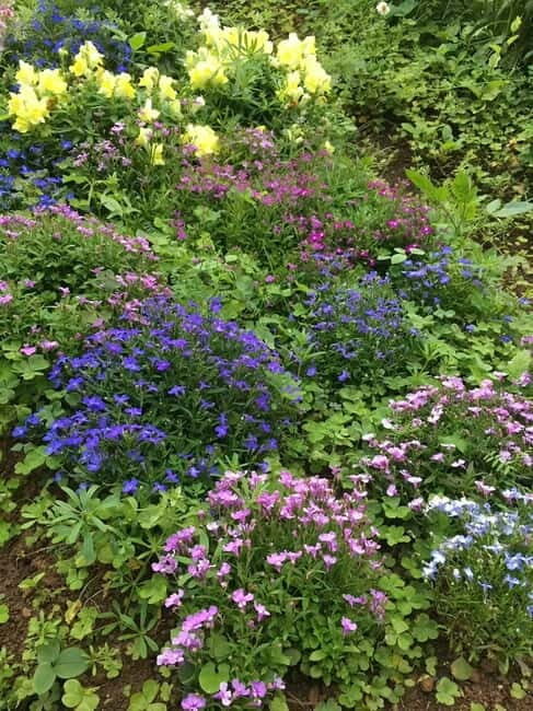 Okinawa: Traditional Cooking Class at Ufuyaa - Practical Tips for Booking and Participation