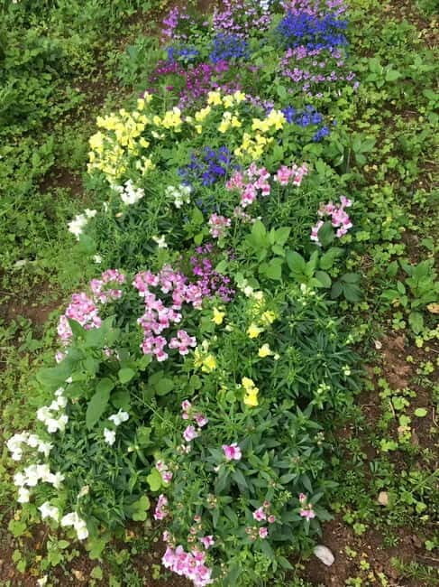 Okinawa: Traditional Cooking Class at Ufuyaa - In The Sum Up