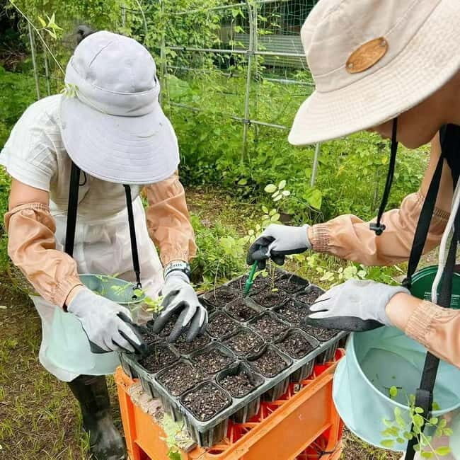 Okinawa: Traditional farming experience & cooking and a meal - Who Should Consider This Experience?