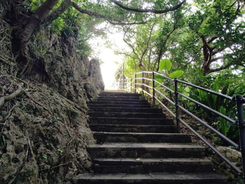 Okinawa: Urasoe Castle, Royal Tomb & War History Walk - A thorough look at the Okinawa: Urasoe Castle, Royal Tomb & War History Walk