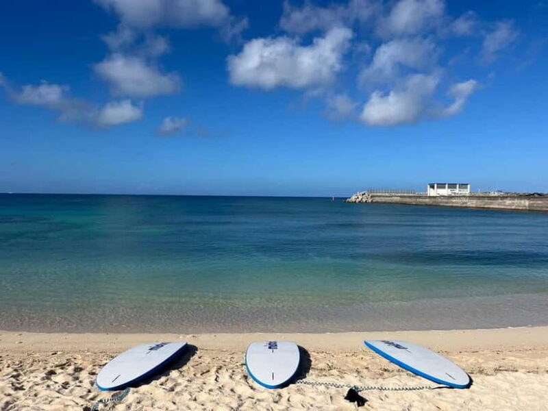 Okinawa: West Coast Stand-Up Paddleboarding Experience - What to Expect on the Okinawa West Coast Stand-Up Paddleboarding Tour