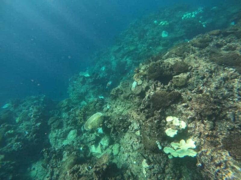 Okinawa: West Coast Stand-Up Paddleboarding Experience - What’s Included and What to Bring