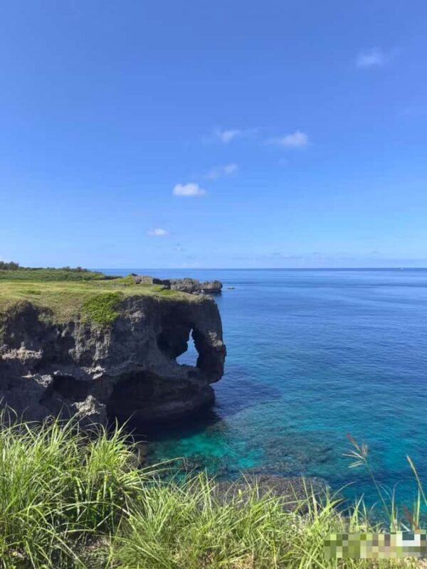 Okinawa: Yaedake Cherry Blossom Festival Private Trip - Who Is This Tour Best For?