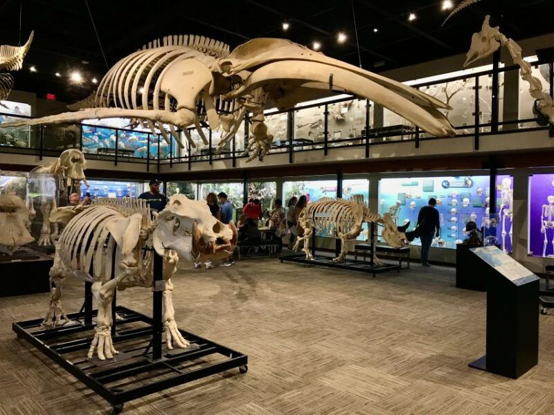 oklahoma-city-skeletons-museum-of-osteology-ticket