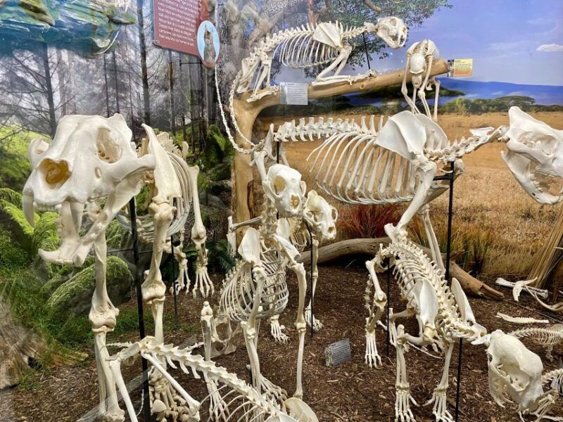 oklahoma-city-skeletons-museum-of-osteology-ticket