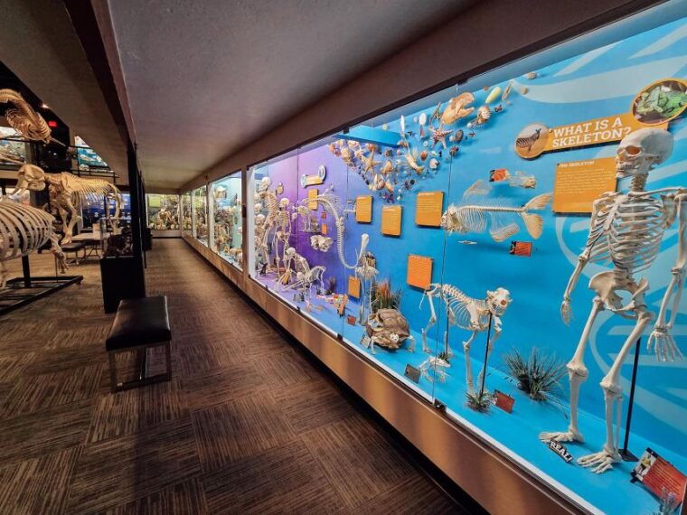 oklahoma-city-skeletons-museum-of-osteology-ticket