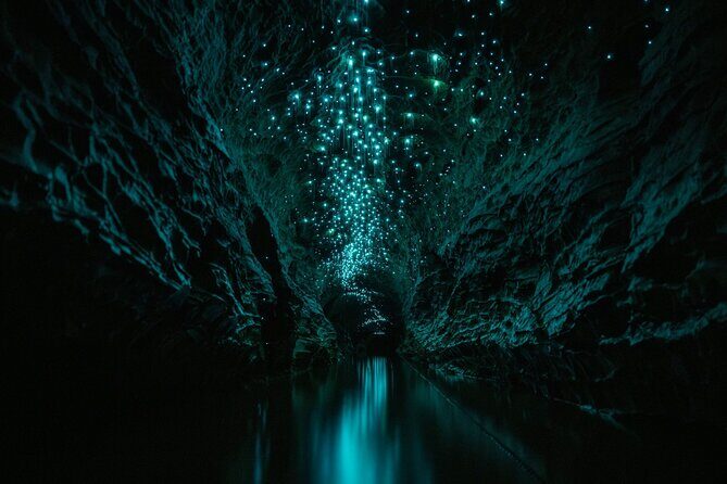 Okohua Glowworm Cave Adventure - What Makes the Okohua Glowworm Cave Tour Special