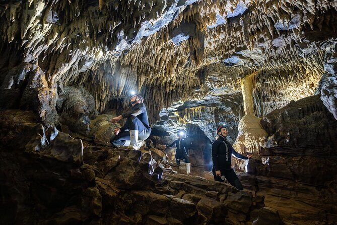 Okohua Glowworm Cave Adventure - The Experience in Context: Authentic & Sustainable