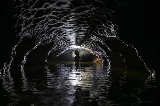 Okohua Glowworm Cave Adventure - Practical Details: What You Need to Know