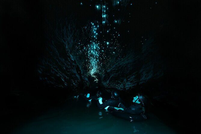 Okohua Glowworm Cave Adventure - The Sum Up: Who Is This Tour Best For?