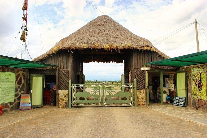 Ol Pejeta Conservancy Day Tour from Nairobi - Considerations & Caveats