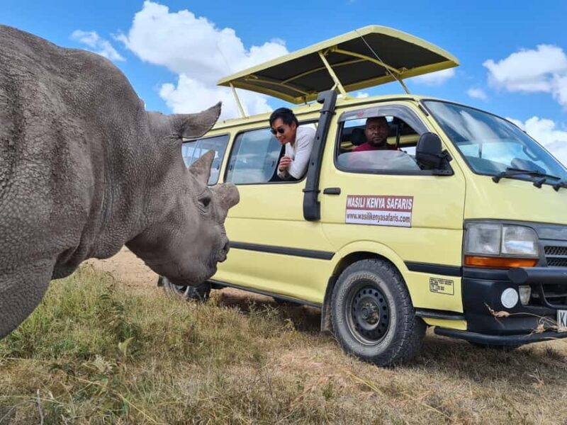 Ol Pejeta Conservancy Day tour & Game Drive from Nairobi - The Northern White Rhinos