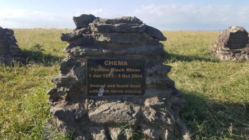 Ol Pejeta Half Day Gamedrive - Final Thoughts: Is This Tour for You?