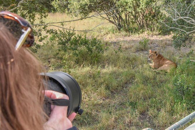 Ol Pejeta, Sweet Waters Chimpanzee Sanctuary and lion tracking safari - Key Points