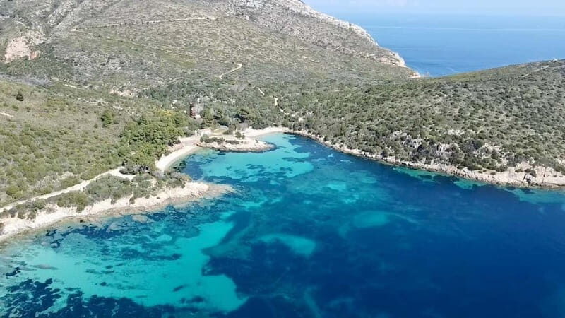 Olbia: Boat tour to watch Dolphins and snorkeling - Authentic Encounters and Guest Experiences
