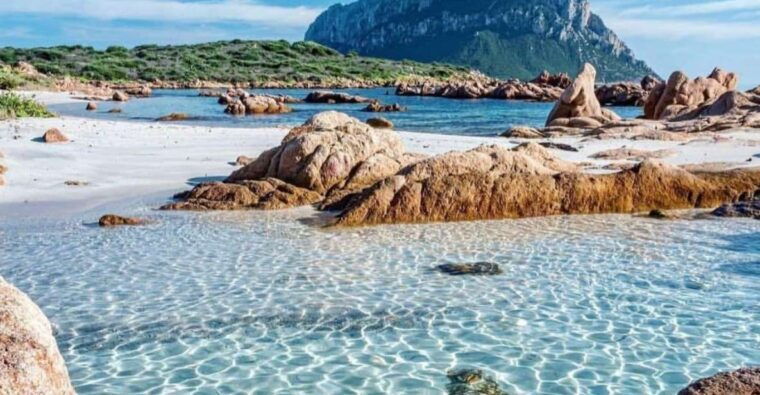 olbia-diving-in-tavolara-marine-park-in-sardinia